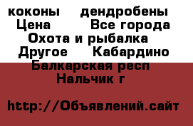 коконы    дендробены › Цена ­ 25 - Все города Охота и рыбалка » Другое   . Кабардино-Балкарская респ.,Нальчик г.